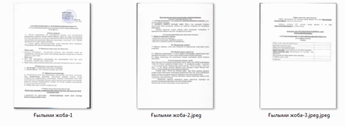 Научные проекты.png