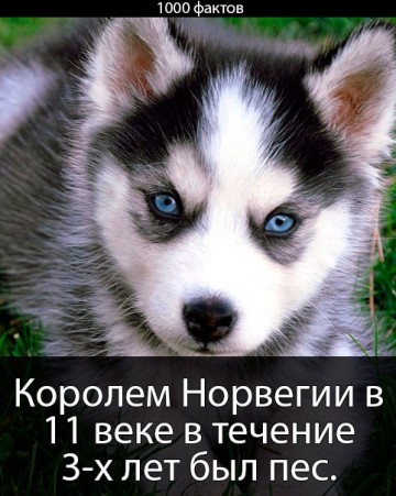 Интересные факты