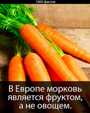 Интересные факты
