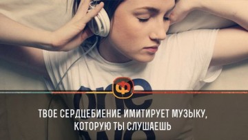Интересные факты