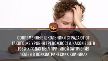 Интересные факты