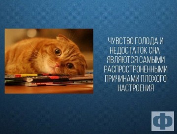Интересные факты 2