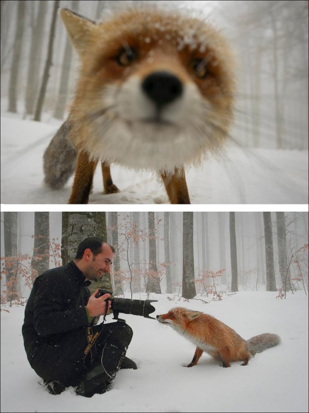 Как создаются фотошедевры